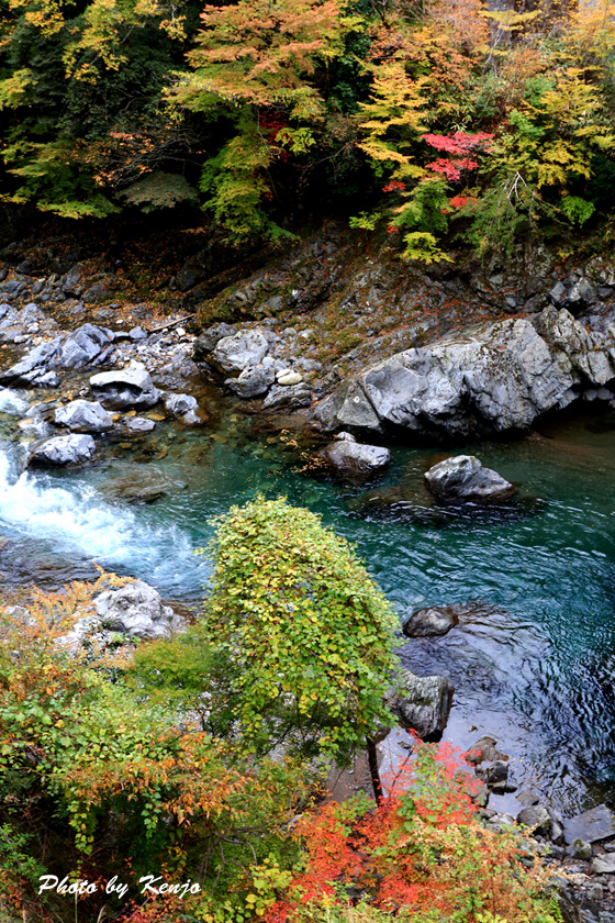 a0097006_22274617.jpg