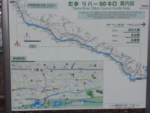 11/4 たまリバー50キロ制覇!_b0042308_2338794.jpg