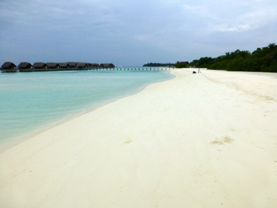 d0298808_11421157.jpg