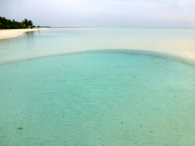 d0298808_1142982.jpg