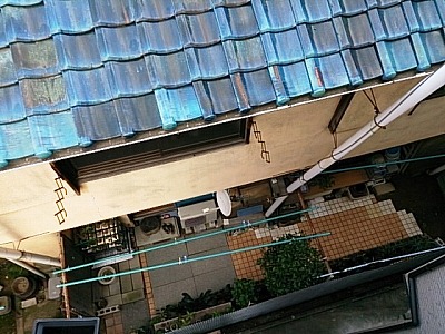 f0096508_8261824.jpg