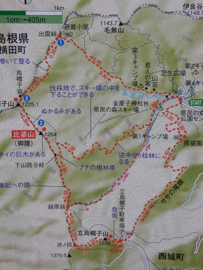 f0219710_8101373.jpg