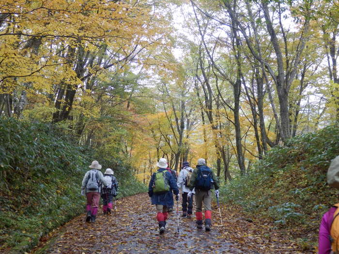 f0219710_8261155.jpg