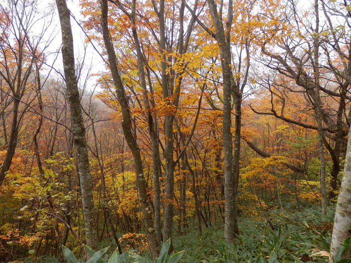 f0219710_8324362.jpg