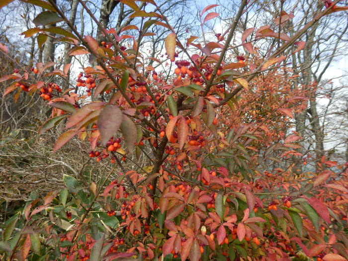 f0219710_833599.jpg