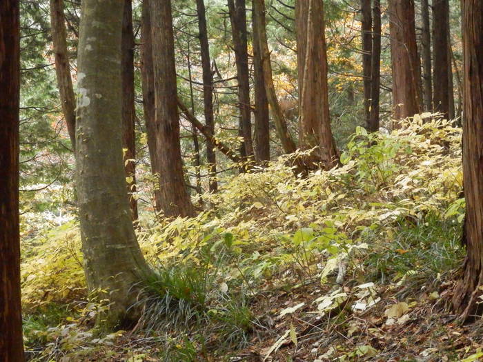f0219710_8421255.jpg