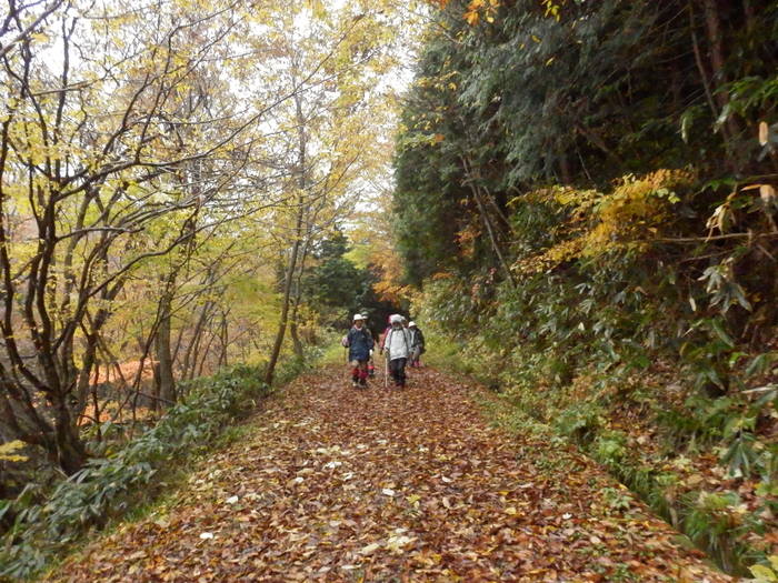 f0219710_8445427.jpg