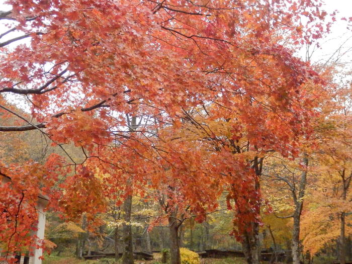 f0219710_846233.jpg