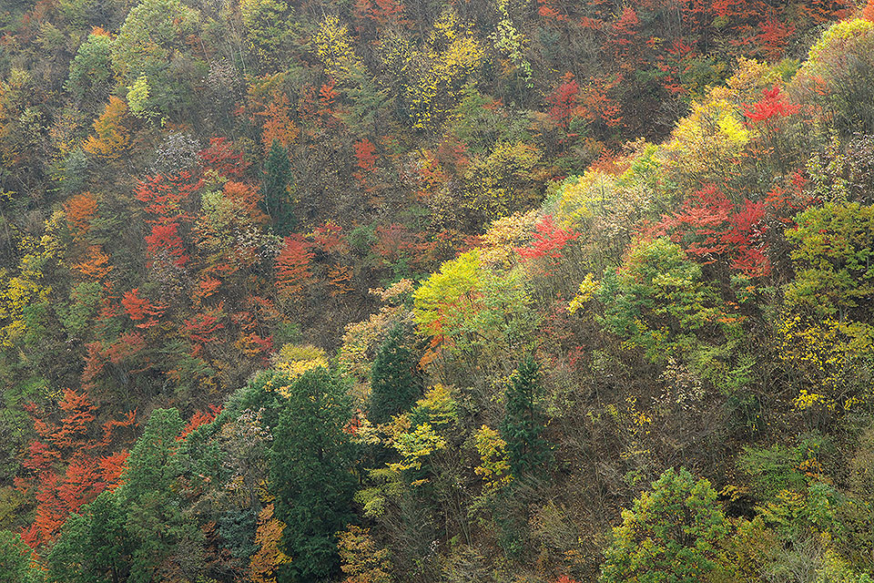 有間渓谷の紅葉_b0010915_20215122.jpg