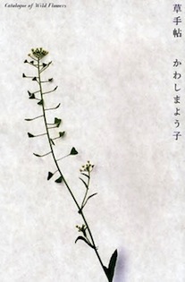 ブックマークナゴヤ2013終わりました_d0263815_13454390.jpg
