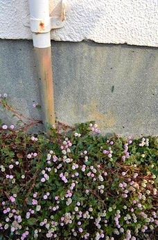 ブックマークナゴヤ2013終わりました_d0263815_14454221.jpg