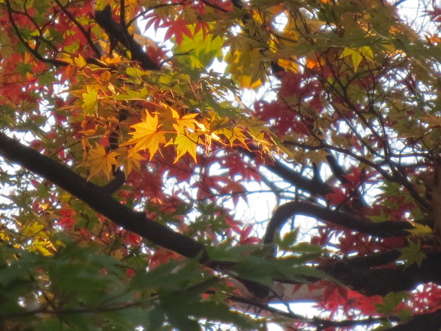 f0248616_1711415.jpg
