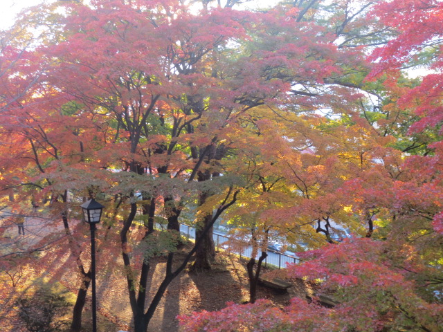 f0248616_1723492.jpg