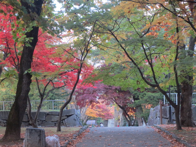 盛岡城跡公園　　NO.2_f0248616_174496.jpg