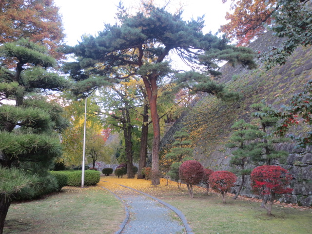 盛岡城跡公園　　NO.2_f0248616_1765061.jpg