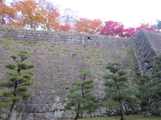f0248616_1772930.jpg