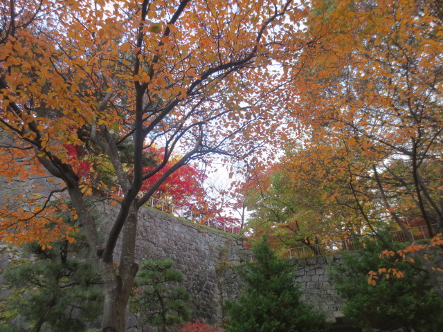 f0248616_1775488.jpg
