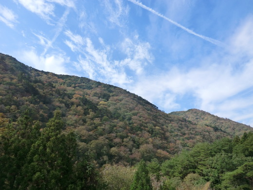 d0221319_7394837.jpg