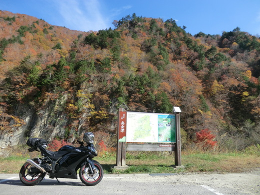 d0221319_7402065.jpg