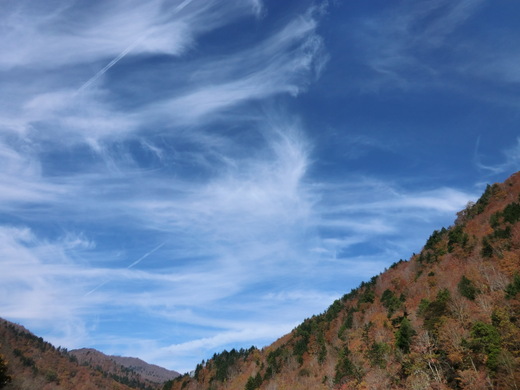 d0221319_7402999.jpg