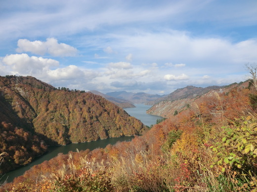 d0221319_741422.jpg