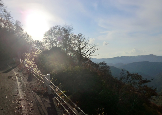 d0221319_7444273.jpg