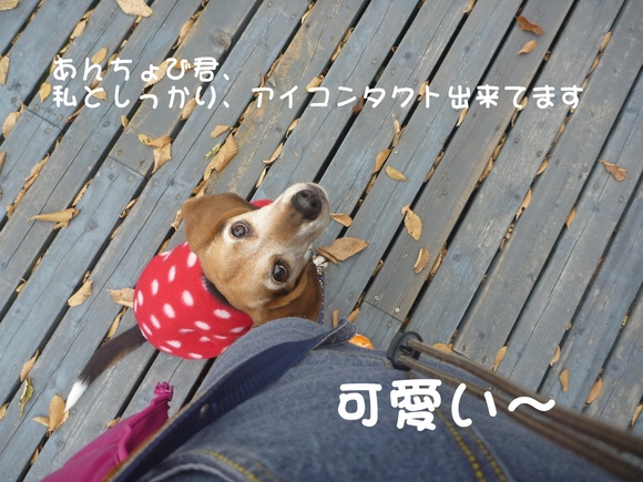 c0166622_9412257.jpg