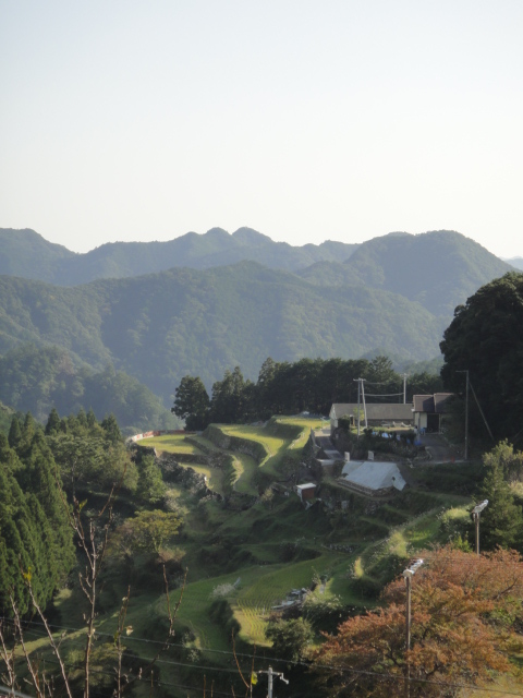 チキンボーイ in 紀伊。_c0189724_13374654.jpg