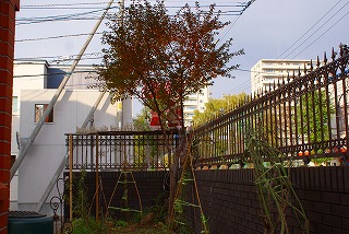 f0170524_1956156.jpg