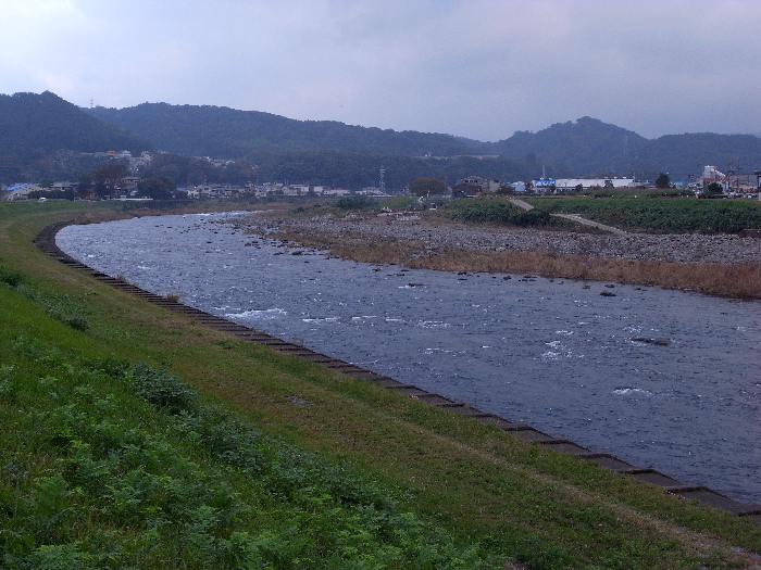 f0103126_2159576.jpg