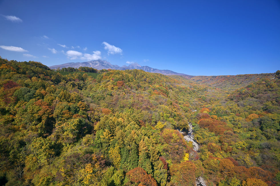 清里・川上村・瑞牆山の紅葉_b0179231_038334.jpg