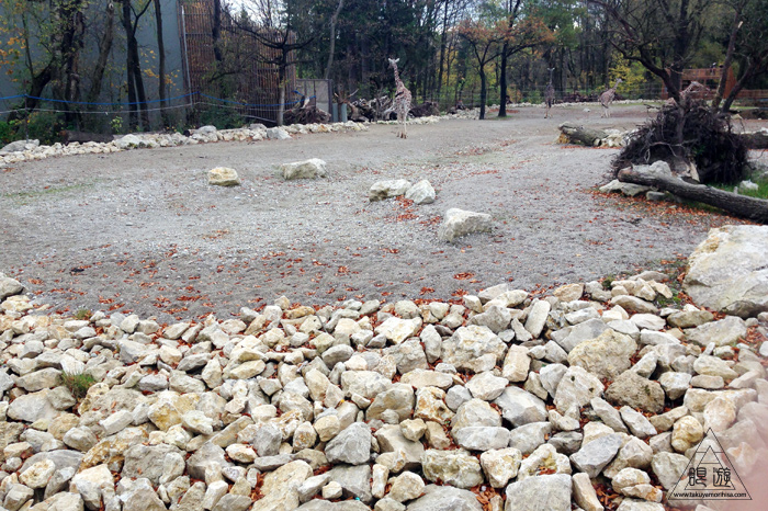 361 Hellabrunn Zoo ~ミュンヘンの動物園~_c0211532_21365177.jpg