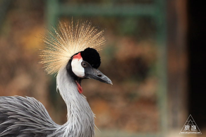 361 Hellabrunn Zoo ~ミュンヘンの動物園~_c0211532_21533097.jpg