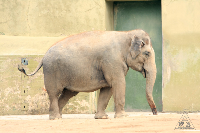 361 Hellabrunn Zoo ~ミュンヘンの動物園~_c0211532_21551056.jpg