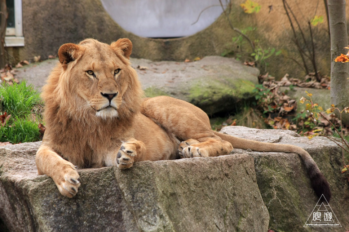 361 Hellabrunn Zoo ~ミュンヘンの動物園~_c0211532_21555299.jpg