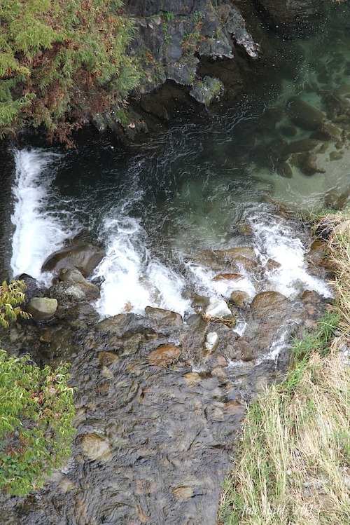 c0240132_604932.jpg