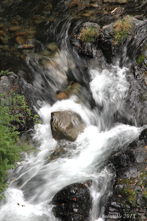 c0240132_60991.jpg
