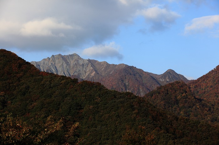 a0294534_17531377.jpg