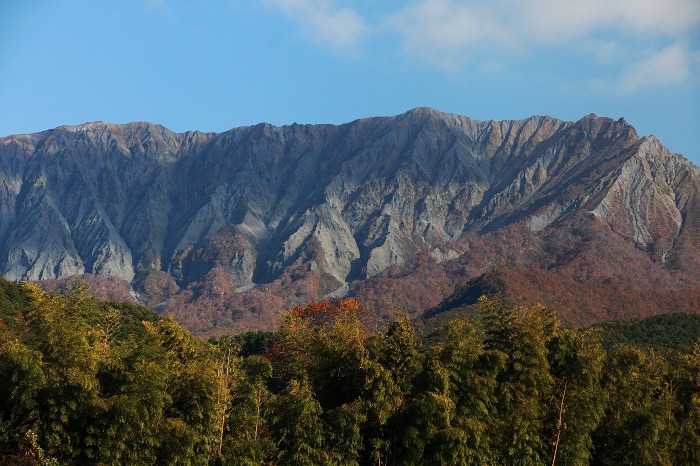 a0294534_17553128.jpg