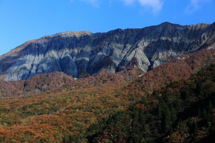 a0294534_17585640.jpg