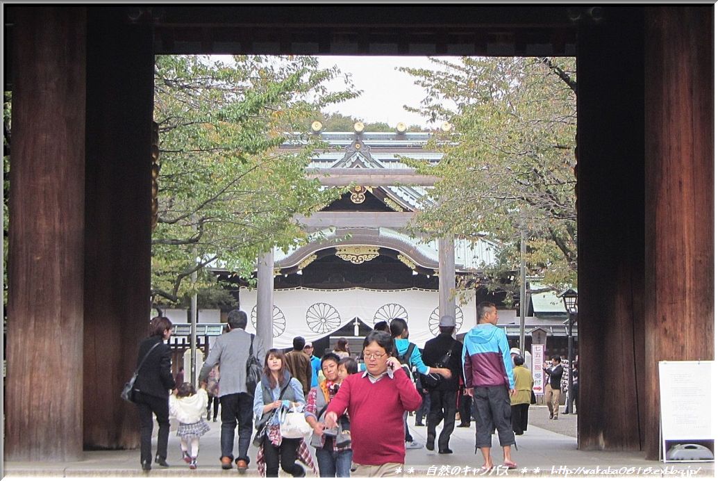 靖国神社の菊花展！！！_e0052135_1842182.jpg