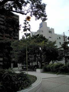 a0161036_210591.jpg