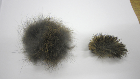 e0041337_9262571.jpg