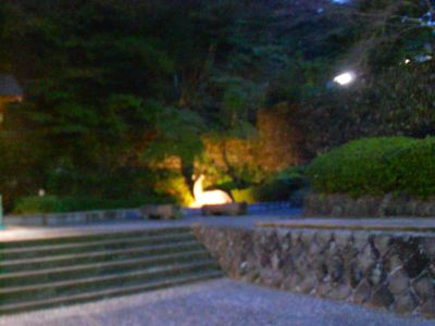 d0136540_2138931.jpg