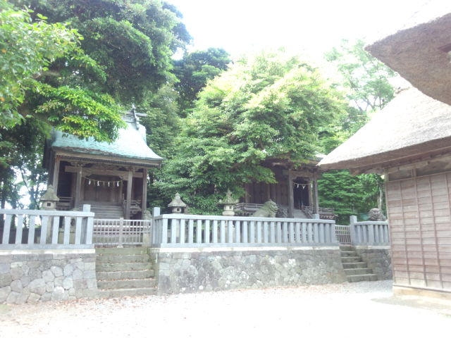 6月24日、天津神社_f0071840_1943039.jpg