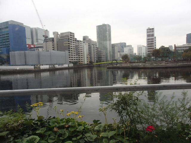 d0063149_1145252.jpg