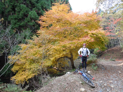 山サイ京都北山、魚谷峠〜石仏峠〜祖父谷峠〜桟敷ヶ岳_d0144550_212487.jpg