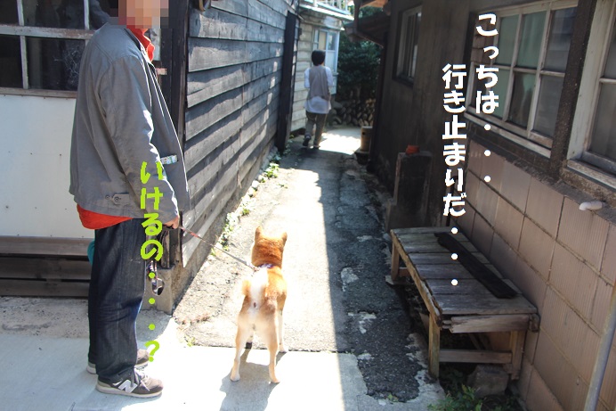 初めての常滑　やきもの散歩道へ♪_f0245650_833945.jpg