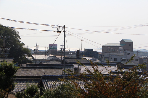 f0245650_845353.jpg
