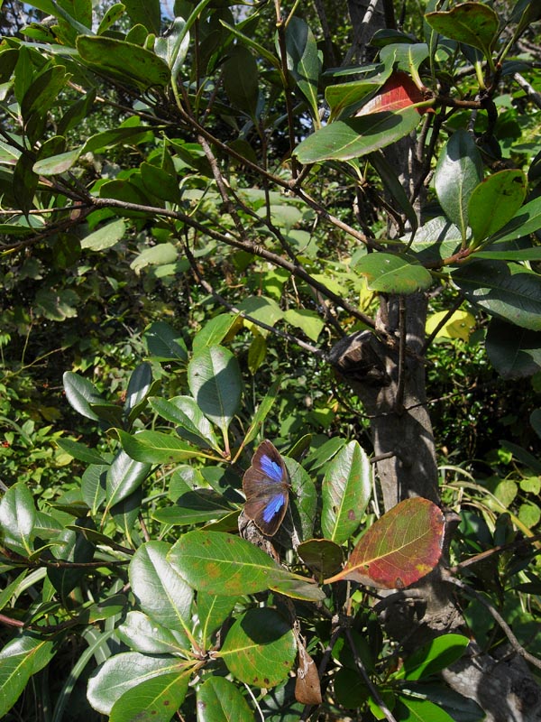 c0045352_20335014.jpg